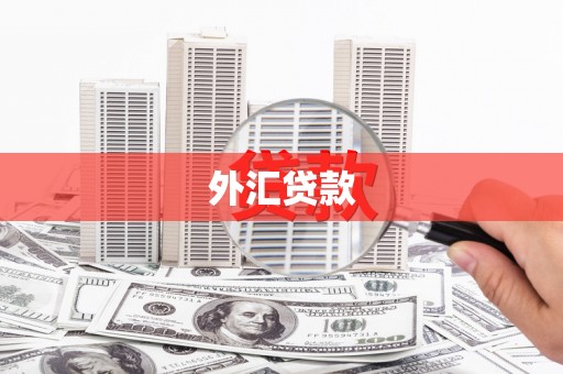 三都外汇贷款