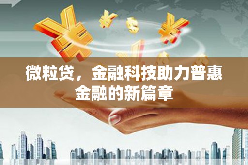 泸西微粒贷，金融科技助力普惠金融的新篇章