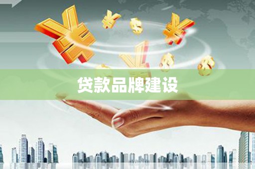 环江贷款品牌建设