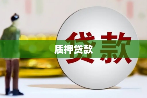 沈北新区质押贷款