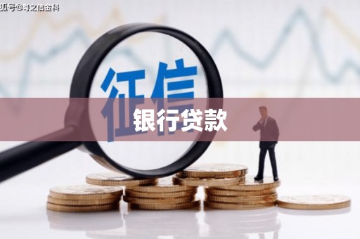 海安银行贷款