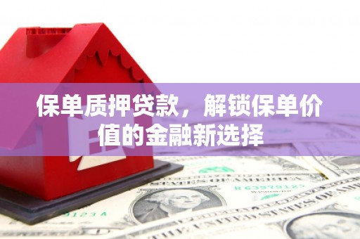 聂荣保单质押贷款，解锁保单价值的金融新选择
