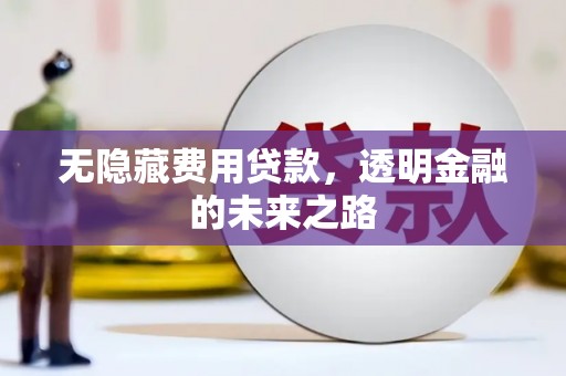 白碱滩无隐藏费用贷款，透明金融的未来之路