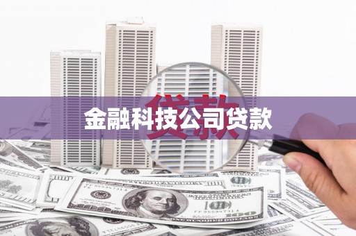 盐津金融科技公司贷款