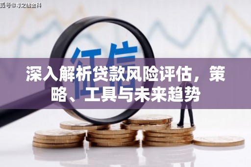 横县深入解析贷款风险评估，策略、工具与未来趋势