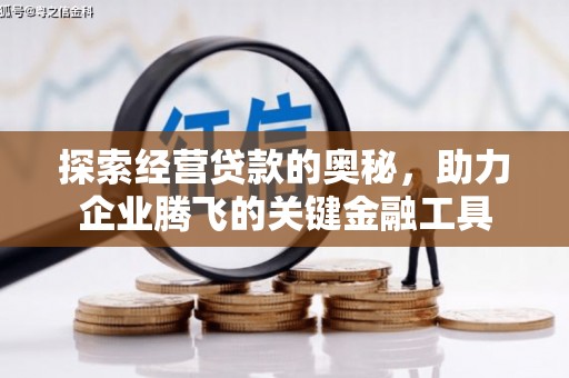 石嘴山探索经营贷款的奥秘，助力企业腾飞的关键金融工具
