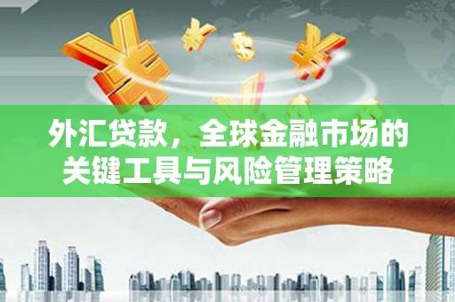 石龙外汇贷款，全球金融市场的关键工具与风险管理策略