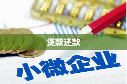 阳春贷款还款