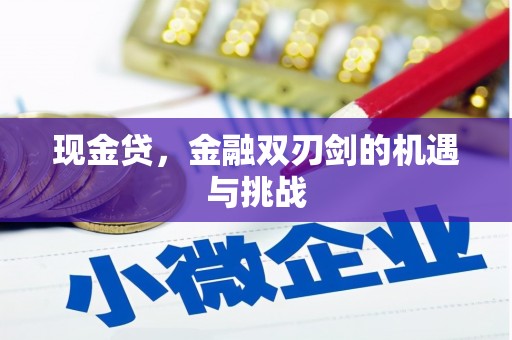 石拐现金贷，金融双刃剑的机遇与挑战