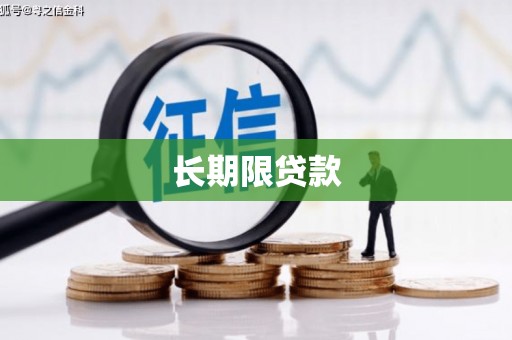 中埔长期限贷款