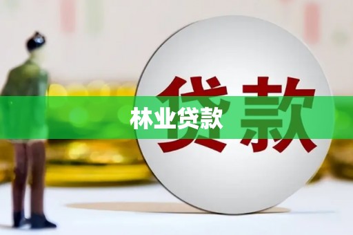 美姑林业贷款