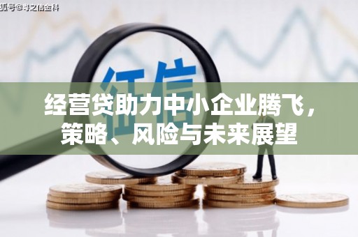 郴州经营贷助力中小企业腾飞，策略、风险与未来展望