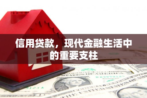 新园信用贷款，现代金融生活中的重要支柱