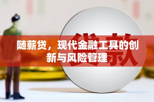 吴兴随薪贷，现代金融工具的创新与风险管理