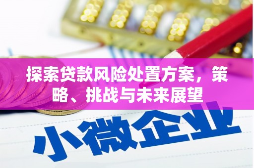 水林探索贷款风险处置方案，策略、挑战与未来展望
