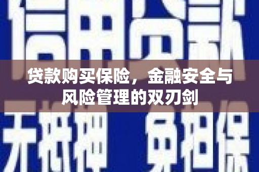 秭归贷款购买保险，金融安全与风险管理的双刃剑