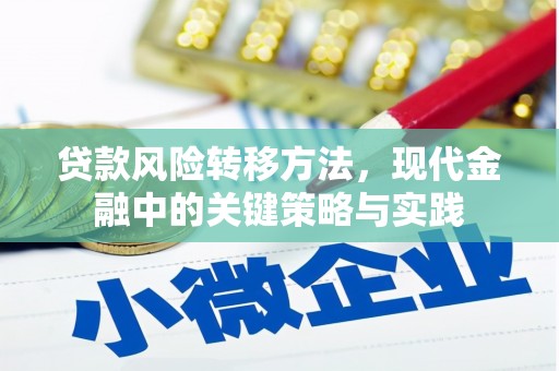 通海贷款风险转移方法，现代金融中的关键策略与实践