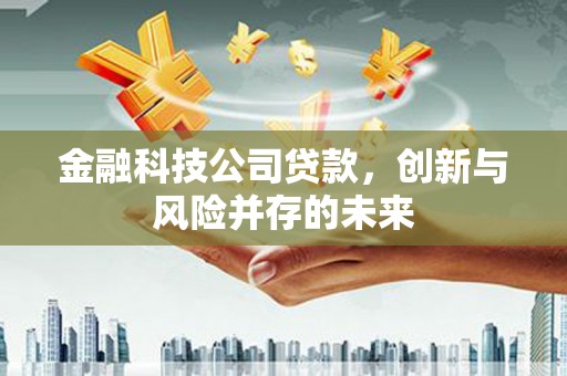 沂南金融科技公司贷款，创新与风险并存的未来
