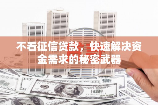 鹿野不看征信贷款，快速解决资金需求的秘密武器