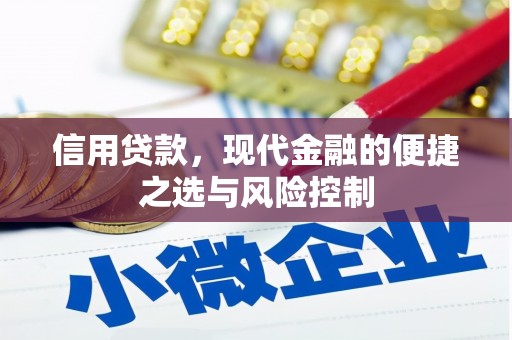 桐城信用贷款，现代金融的便捷之选与风险控制