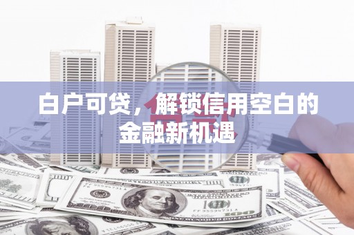 安县白户可贷，解锁信用空白的金融新机遇