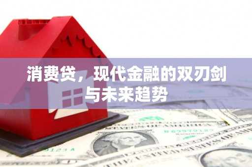 平度消费贷，现代金融的双刃剑与未来趋势