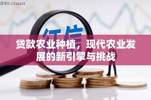 会理贷款农业种植，现代农业发展的新引擎与挑战