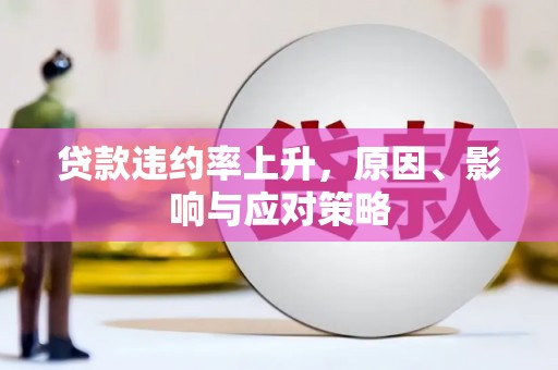黔西南贷款违约率上升，原因、影响与应对策略