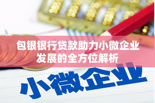 松溪包银银行贷款助力小微企业发展的全方位解析
