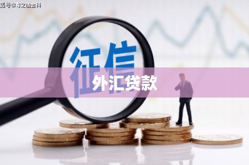 大甲外汇贷款