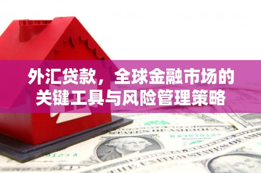 五华外汇贷款，全球金融市场的关键工具与风险管理策略