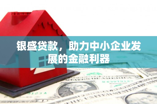 葵青银盛贷款，助力中小企业发展的金融利器