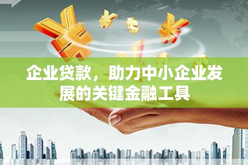 玉州企业贷款，助力中小企业发展的关键金融工具