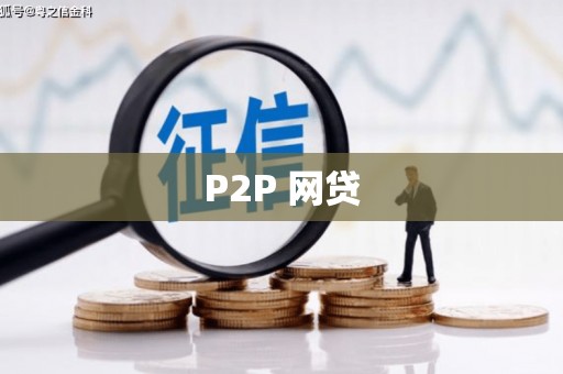 镇康P2P 网贷