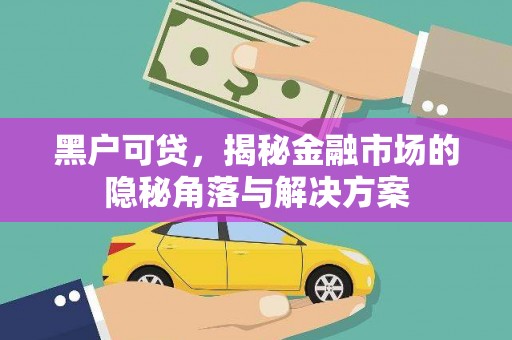 海兴黑户可贷，揭秘金融市场的隐秘角落与解决方案