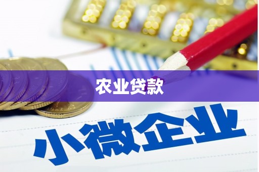 衡阳农业贷款
