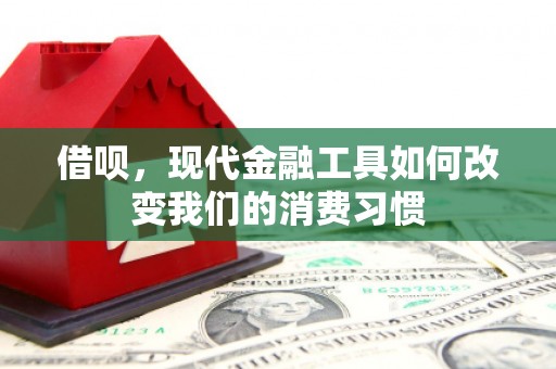金华借呗，现代金融工具如何改变我们的消费习惯