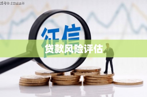 市中区贷款风险评估