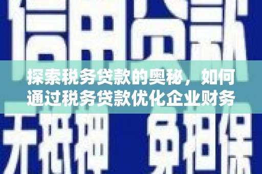 扶绥探索税务贷款的奥秘，如何通过税务贷款优化企业财务