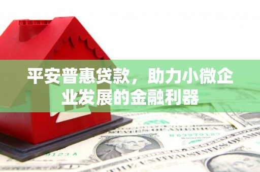 扎赉诺尔平安普惠贷款，助力小微企业发展的金融利器