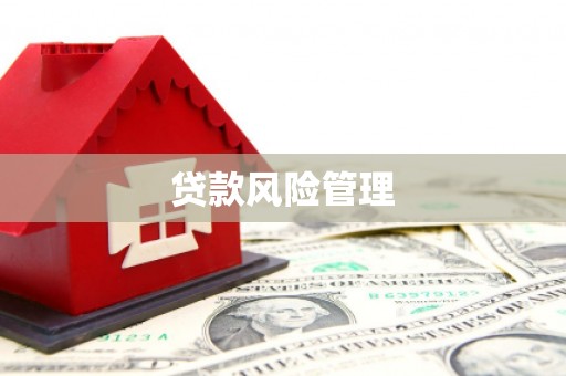 凤县贷款风险管理