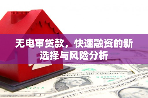 燕巢无电审贷款，快速融资的新选择与风险分析