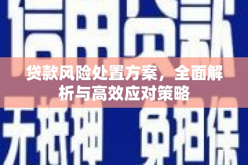 武邑贷款风险处置方案，全面解析与高效应对策略
