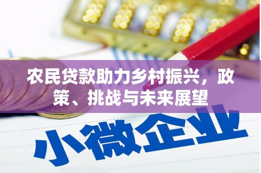 晋州农民贷款助力乡村振兴，政策、挑战与未来展望