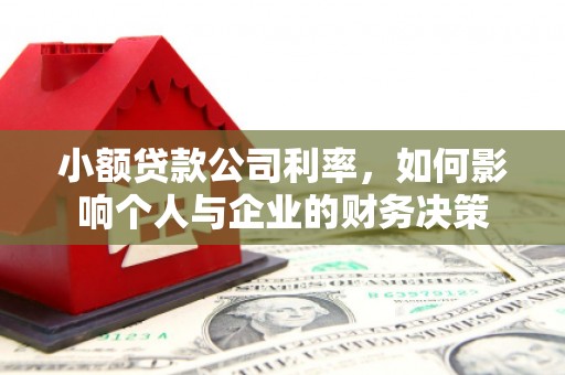 百色小额贷款公司利率，如何影响个人与企业的财务决策