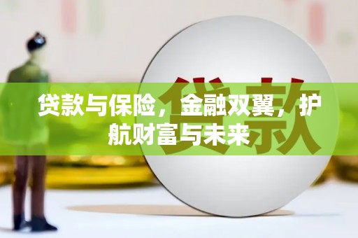 漳平贷款与保险，金融双翼，护航财富与未来