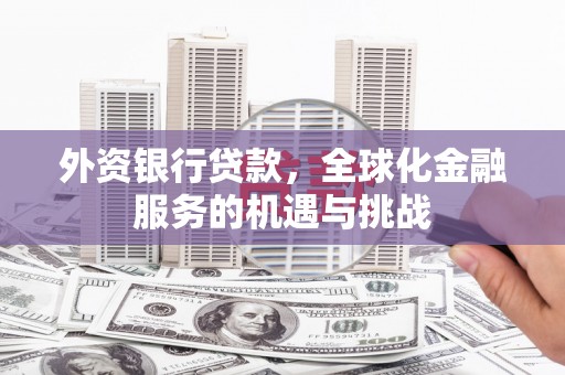 独山外资银行贷款，全球化金融服务的机遇与挑战