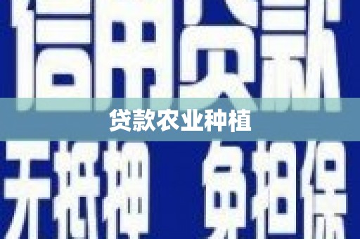 金湾贷款农业种植