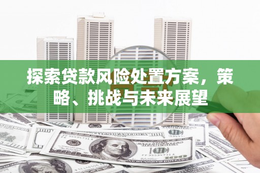 安次探索贷款风险处置方案，策略、挑战与未来展望