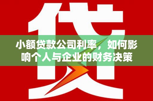项城小额贷款公司利率，如何影响个人与企业的财务决策